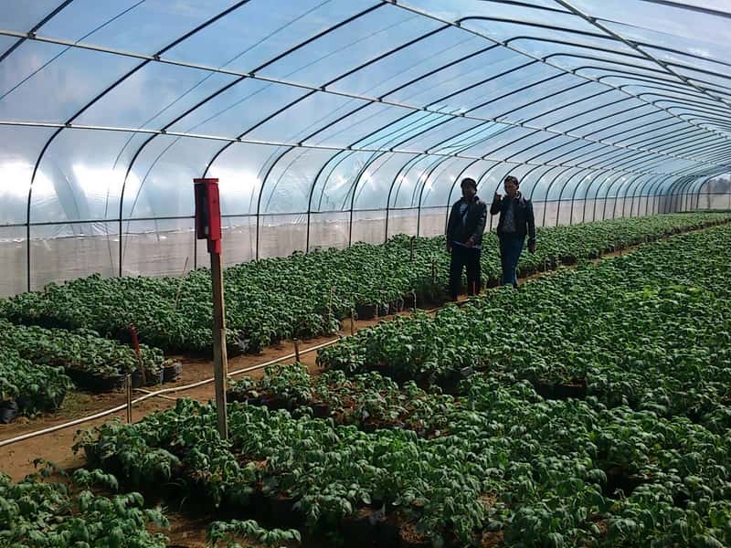 AGROPRO — Jaring Pertanian Tingkat Lanjut